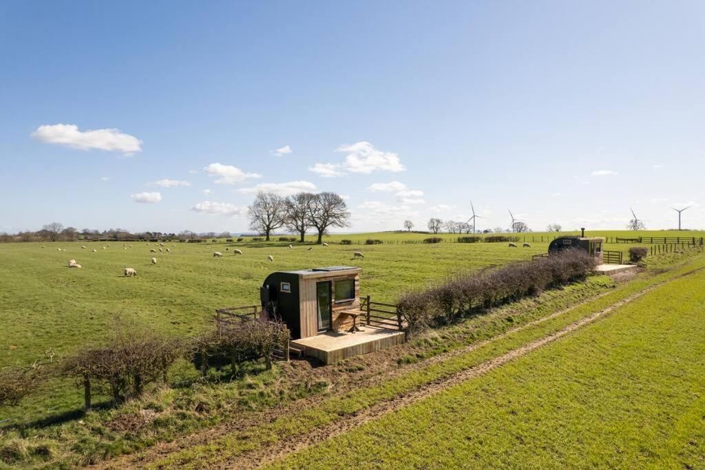 'Pipistrelle' Remote Off-Grid Micro Cabin Villa Sedgefield Esterno foto