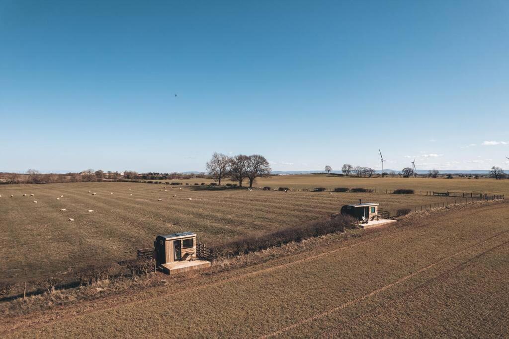 'Pipistrelle' Remote Off-Grid Micro Cabin Villa Sedgefield Esterno foto